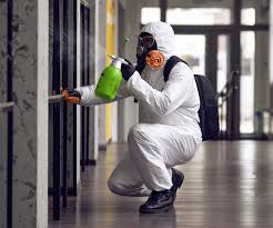 Best Mold Remediation for Rental Properties  in Camp Verde, AZ